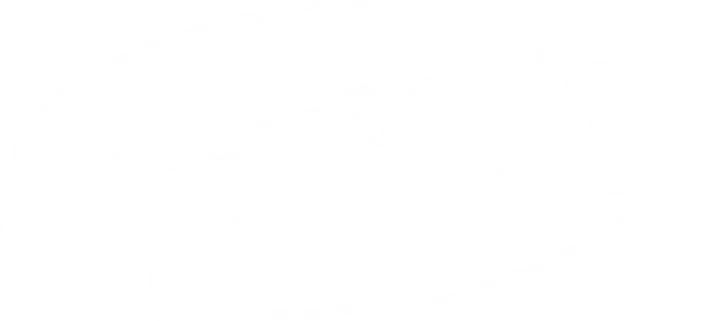 SEGIZ